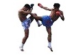 Muay Thai Shop - Online Shop f&uuml;r Thaibox Kampfsport Artikel